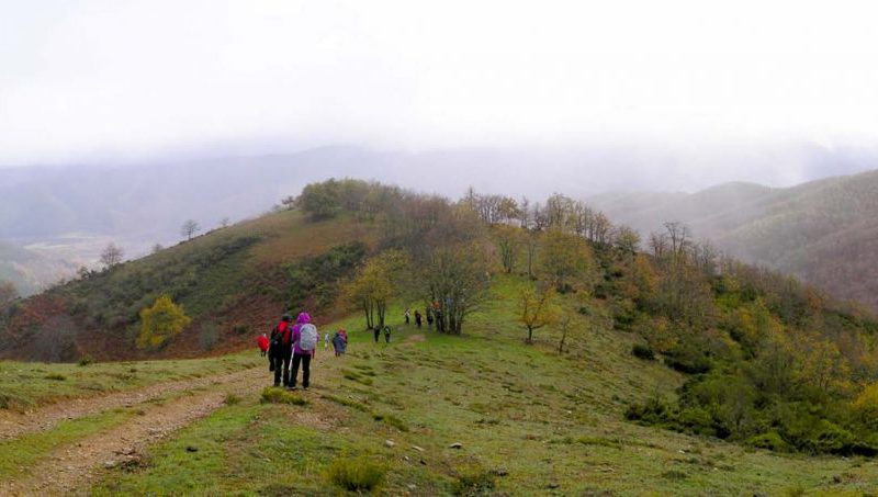 VALLE DE CILBARRENA. (EZCARAY, LOGROÑO)